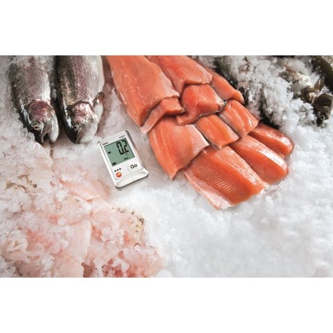 Цифровий USB-реєстратор testo 174Т Прев'ю 5